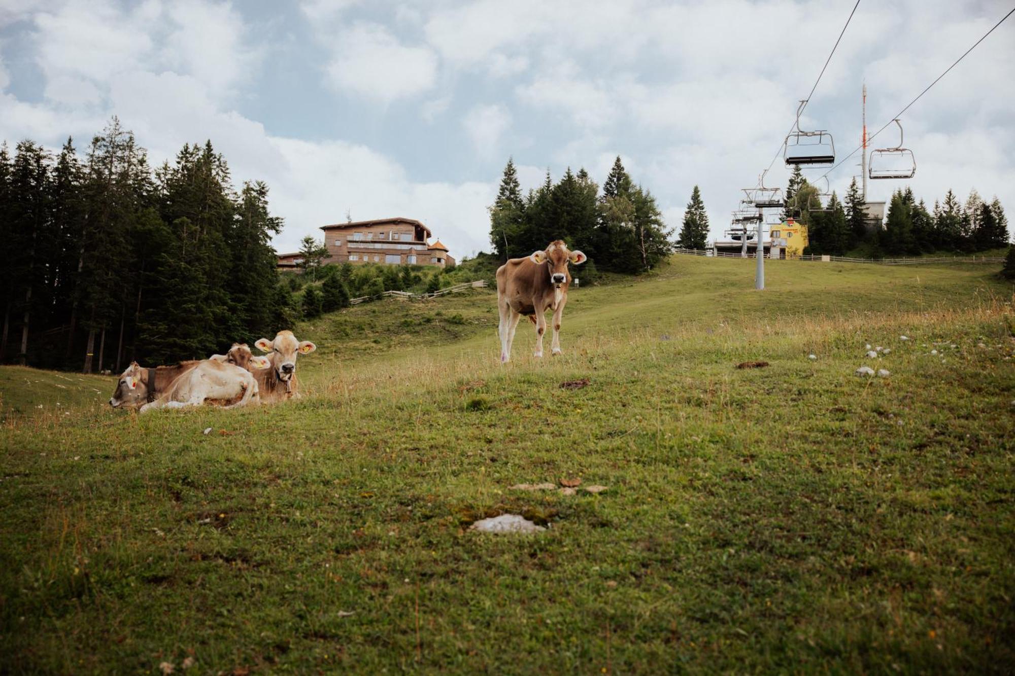 Chalet G12 - Mountain Luxury Apartments Seefeld in Tirol Dış mekan fotoğraf